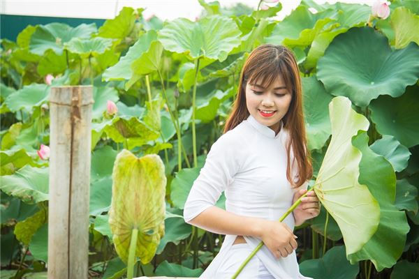 松柏木命是什么意思(属兔松柏木命是什么意思)