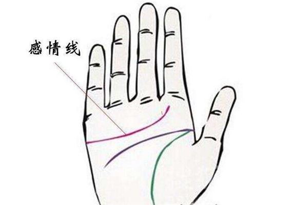 教你如何从面相中看财运(财运好的面相)