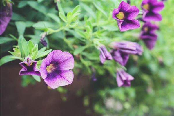 抬头纹到底好不好？(抬头纹很严重的人)