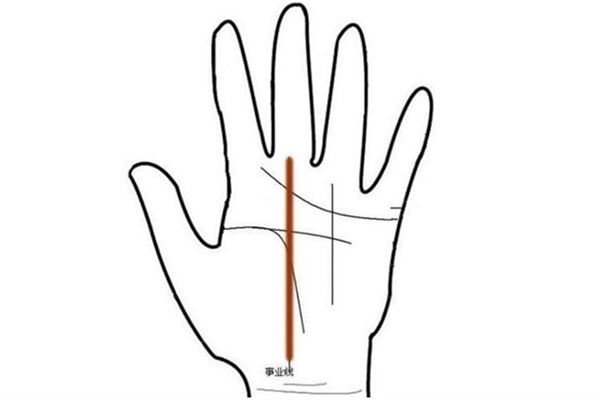 看手相没有事业线怎么回事(断掌如何看手相)