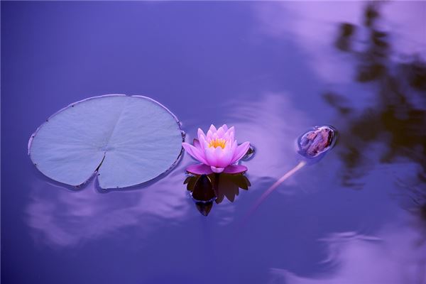 八字中丑未对冲(地支丑未相冲)