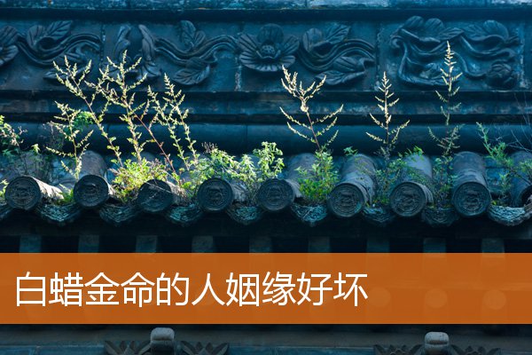 路旁土是什么命格(今年是什么年什么命什么土)