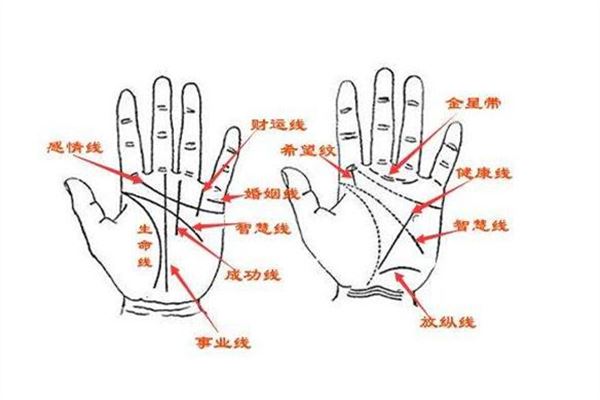 如何通过手相发现灾难(手相哪条是生命线图片)