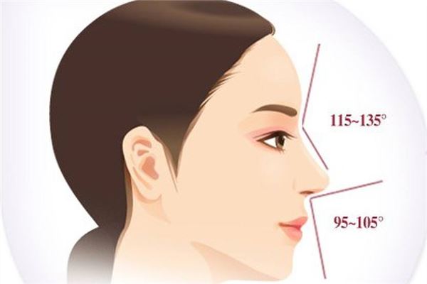 塌鼻子面相分析了解面相对性格带来的影响(塌鼻梁鼻翼宽的面相)
