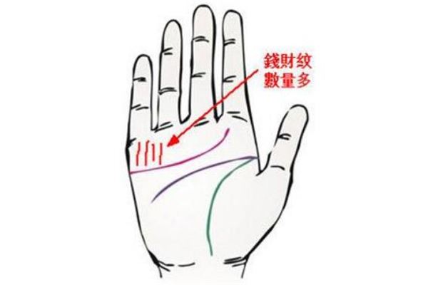 手相财运线是哪一条(财运好的手相)