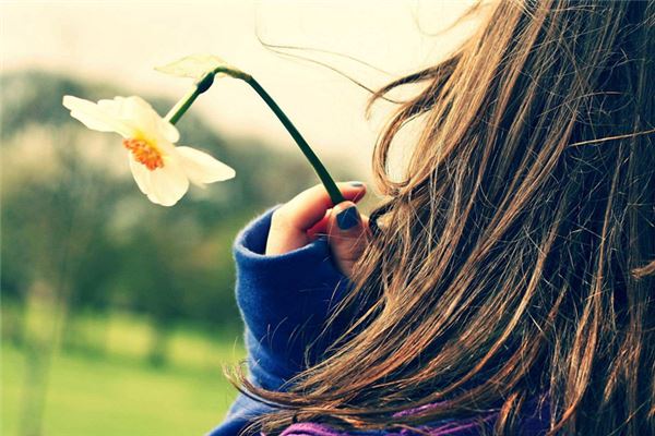 三台八座详解是什么?(三台八座是什么)