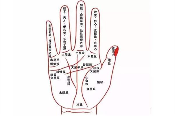 手相看你是否“注孤生”(注定单身一辈子的手相)