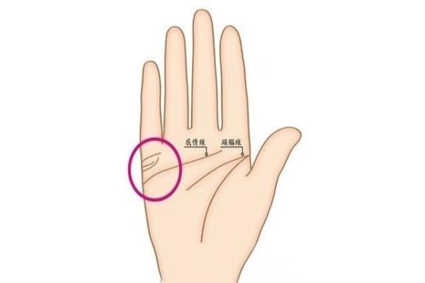 手相看婚姻(手相婚姻怎么看)