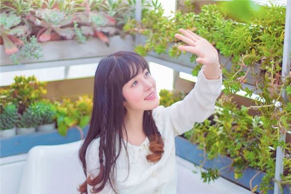 熊猫血的人整体的性格运势怎么样(熊猫特点性格)