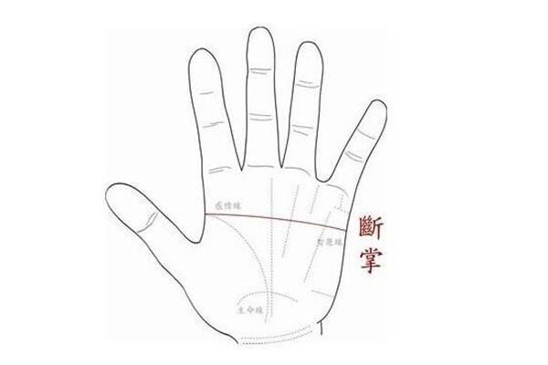 右手断掌的女人(断掌男右手)
