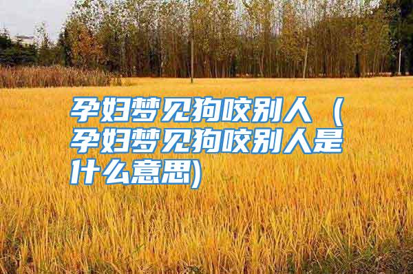 孕妇梦见狗咬别人 (孕妇梦见狗咬别人是什么意思)