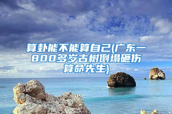 算卦能不能算自己(广东一800多岁古树倒塌砸伤算命先生)