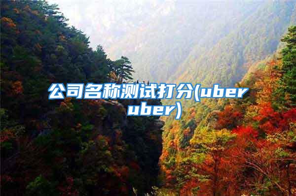 公司名称测试打分(uber uber)