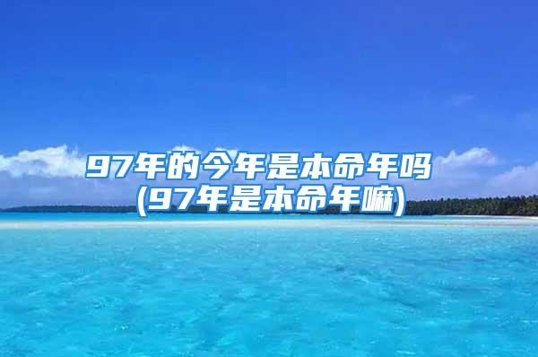 97年的今年是本命年吗 (97年是本命年嘛)