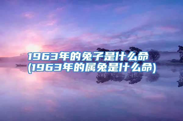 1963年的兔子是什么命 (1963年的属兔是什么命)