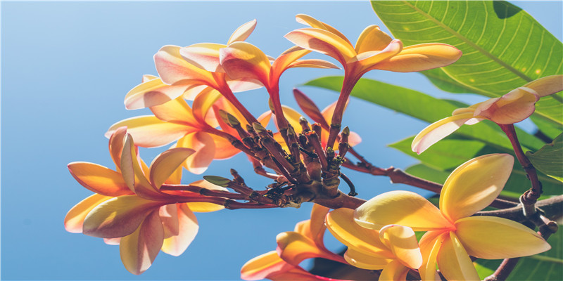 为什么会有艾灸命门绝子一说 (艾灸可以灸命门吗)