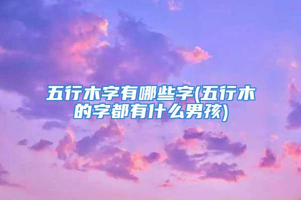 五行木字有哪些字(五行木的字都有什么男孩)