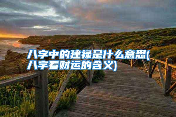 八字中的建禄是什么意思(八字看财运的含义)