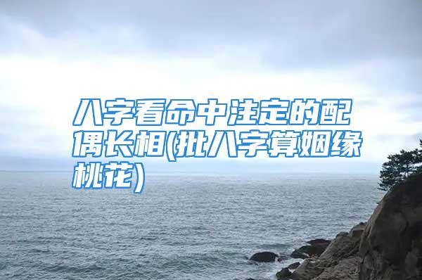 八字看命中注定的配偶长相(批八字算姻缘桃花)