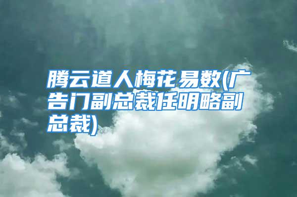 腾云道人梅花易数(广告门副总裁任明略副总裁)