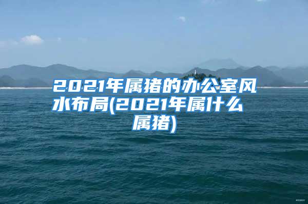 2021年属猪的办公室风水布局(2021年属什么 属猪)