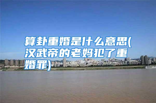 算卦重婚是什么意思(汉武帝的老妈犯了重婚罪)