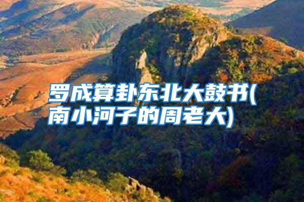 罗成算卦东北大鼓书(南小河子的周老大)