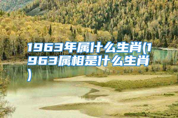 1963年属什么生肖(1963属相是什么生肖)