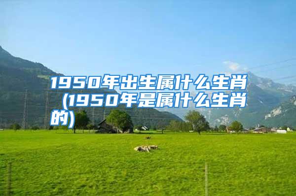 1950年出生属什么生肖 (1950年是属什么生肖的)