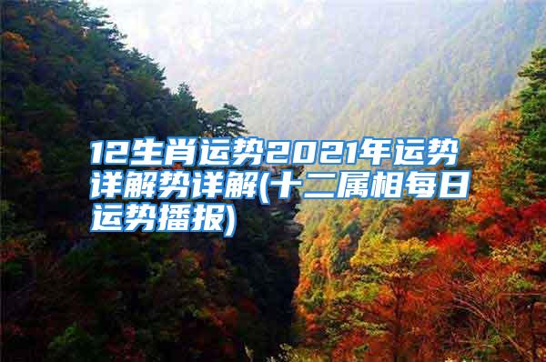 12生肖运势2021年运势详解势详解(十二属相每日运势播报)