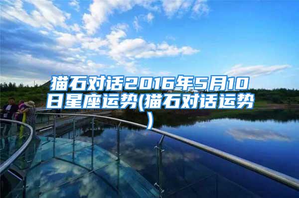 猫石对话2016年5月10日星座运势(猫石对话运势)