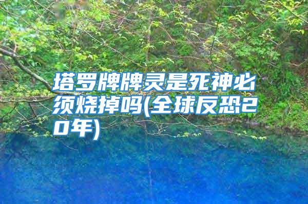 塔罗牌牌灵是死神必须烧掉吗(全球反恐20年)