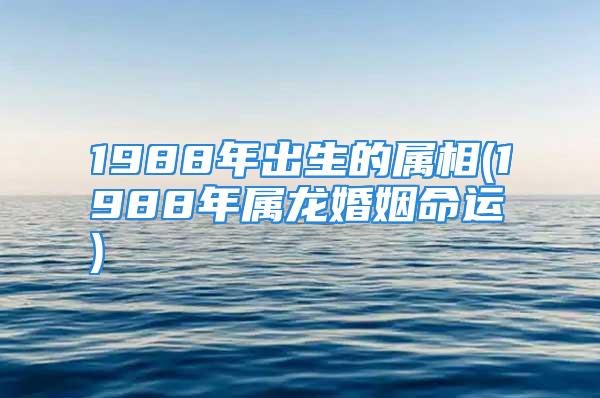 1988年出生的属相(1988年属龙婚姻命运)