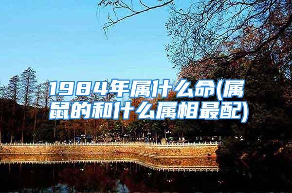 1984年属什么命(属鼠的和什么属相最配)