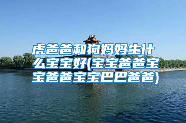 虎爸爸和狗妈妈生什么宝宝好(宝宝爸爸宝宝爸爸宝宝巴巴爸爸)