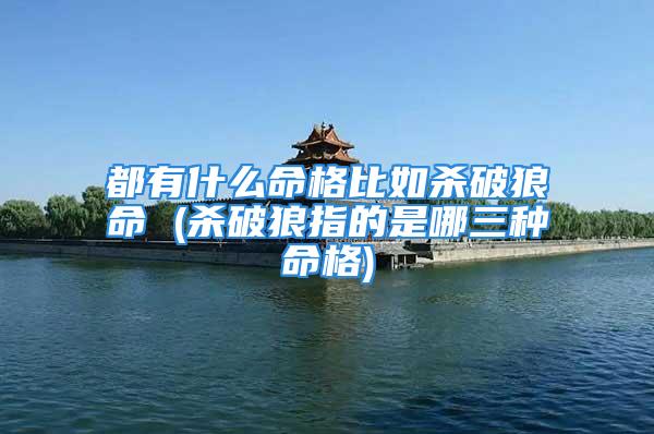 都有什么命格比如杀破狼命 (杀破狼指的是哪三种命格)