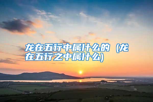 龙在五行中属什么的 (龙在五行之中属什么)