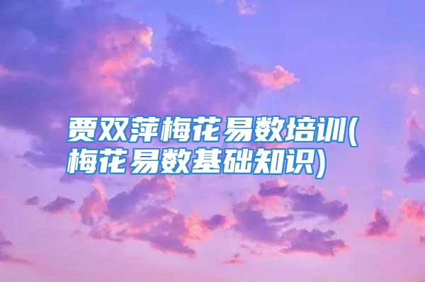 贾双萍梅花易数培训(梅花易数基础知识)