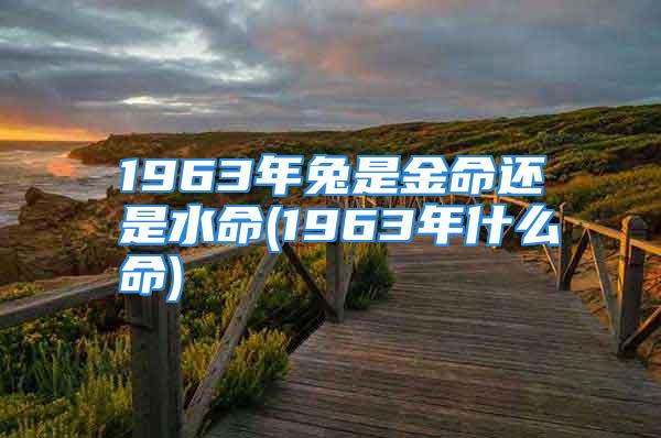 1963年兔是金命还是水命(1963年什么命)