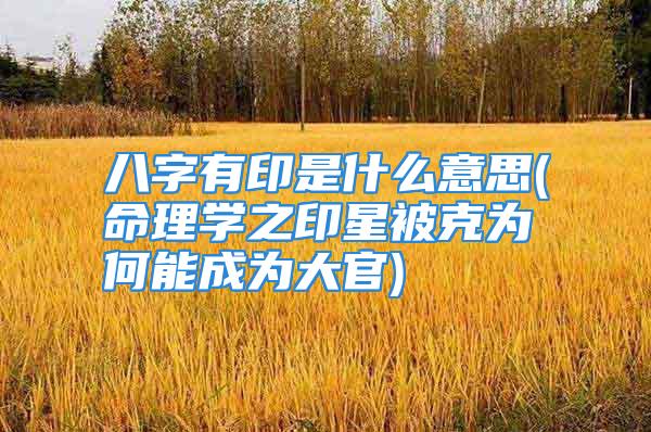 八字有印是什么意思(命理学之印星被克为何能成为大官)