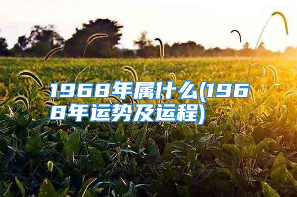 1968年属什么(1968年运势及运程)