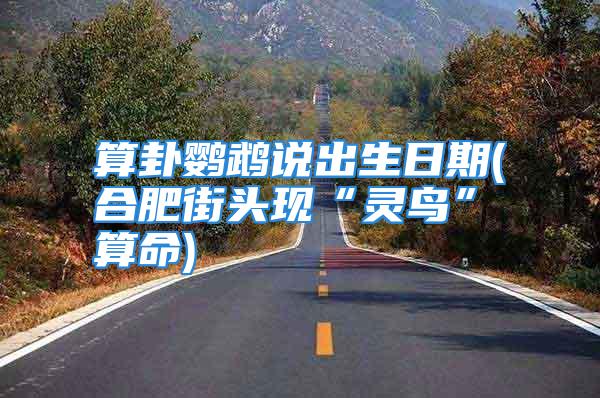 算卦鹦鹉说出生日期(合肥街头现“灵鸟”算命)