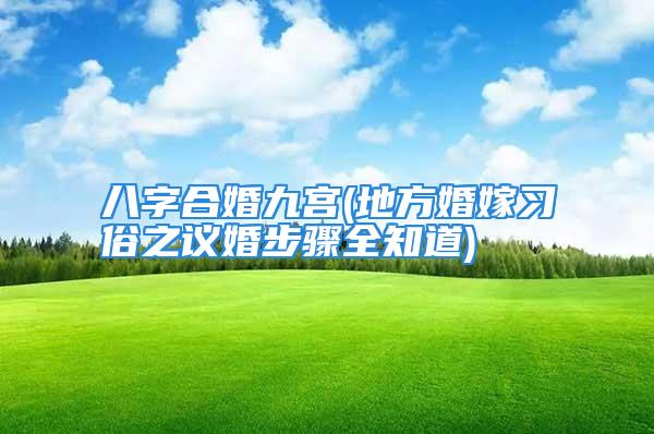 八字合婚九宫(地方婚嫁习俗之议婚步骤全知道)
