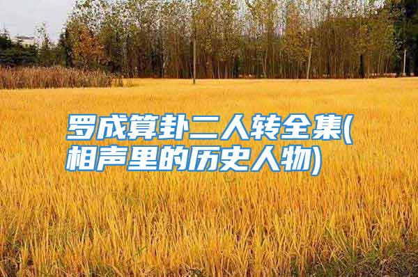 罗成算卦二人转全集(相声里的历史人物)