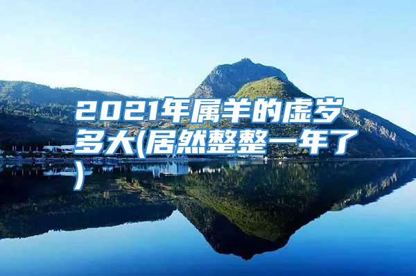 2021年属羊的虚岁多大(居然整整一年了)