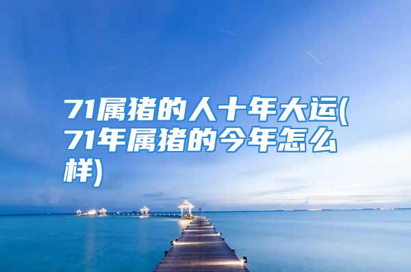 71属猪的人十年大运(71年属猪的今年怎么样)
