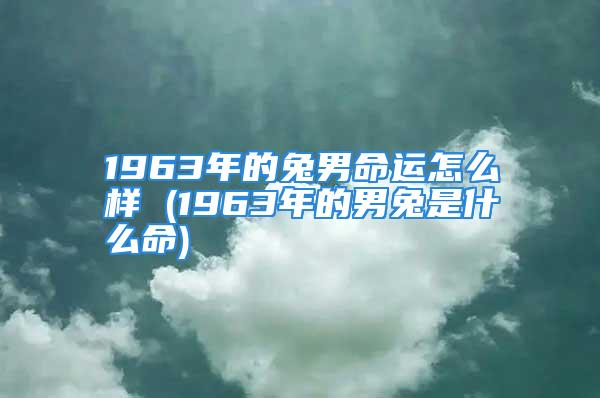 1963年的兔男命运怎么样 (1963年的男兔是什么命)