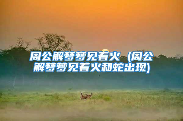 周公解梦梦见着火 (周公解梦梦见着火和蛇出现)