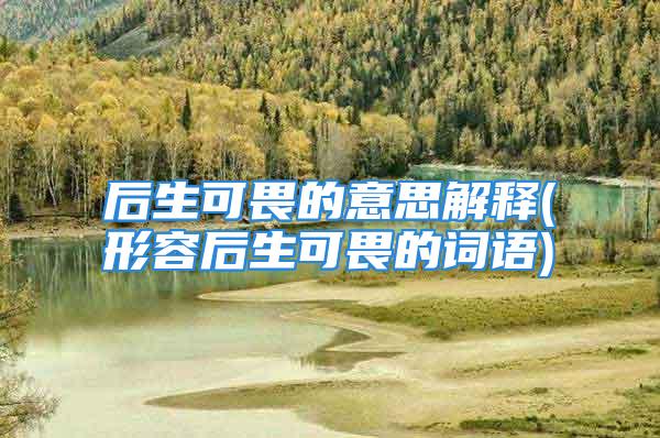 后生可畏的意思解释(形容后生可畏的词语)