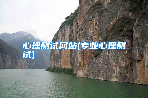 心理测试网站(专业心理测试)